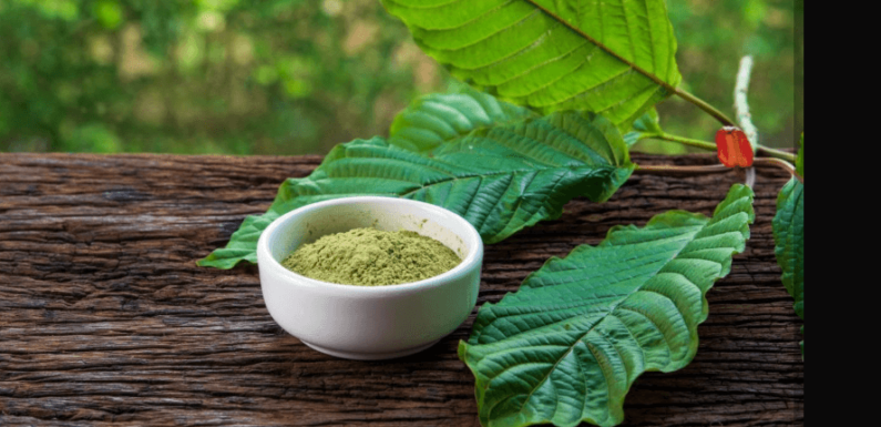 Kratom Tea vs. Kratom Powder – Key Differences & Similarities
