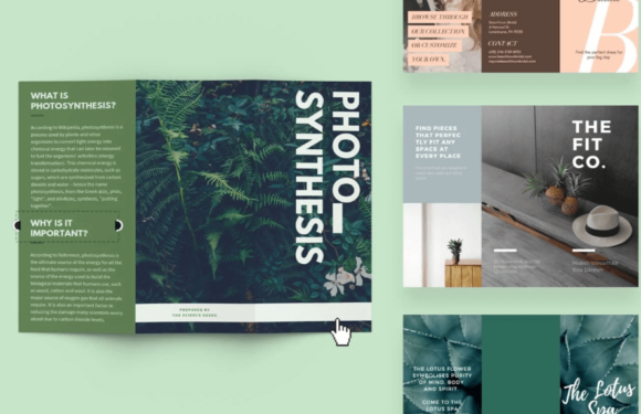 5 Simple Procedure to Create Effective Online Brochure with Amazing Layout Design